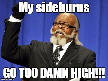 Too Damn High | My sideburns GO TOO DAMN HIGH!!! | image tagged in memes,too damn high | made w/ Imgflip meme maker