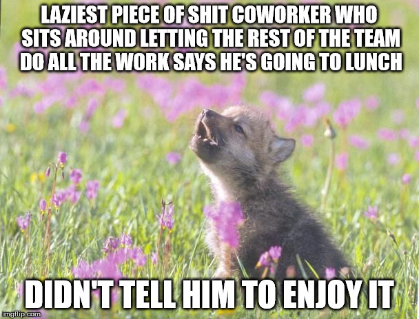Baby Insanity Wolf | LAZIEST PIECE OF SHIT COWORKER WHO SITS AROUND LETTING THE REST OF THE TEAM DO ALL THE WORK SAYS HE'S GOING TO LUNCH DIDN'T TELL HIM TO ENJO | image tagged in memes,baby insanity wolf | made w/ Imgflip meme maker