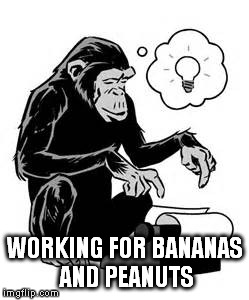 WORKING FOR BANANAS AND PEANUTS | made w/ Imgflip meme maker