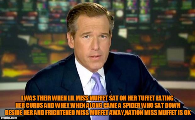 Brian Williams Was There | I WAS THEIR WHEN LIL MISS MUFFET SAT ON HER TUFFET EATING HER CURDS AND WHEY,WHEN ALONG CAME A SPIDER WHO SAT DOWN BESIDE HER AND FRIGHTENED | image tagged in memes,brian williams was there | made w/ Imgflip meme maker