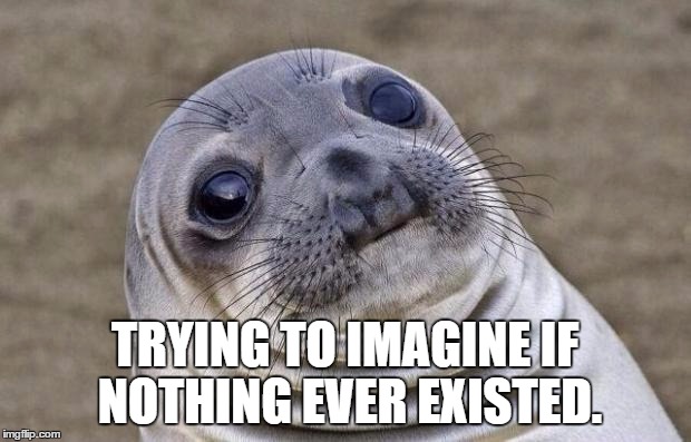 Awkward Moment Sealion | TRYING TO IMAGINE IF NOTHING EVER EXISTED. | image tagged in memes,awkward moment sealion | made w/ Imgflip meme maker