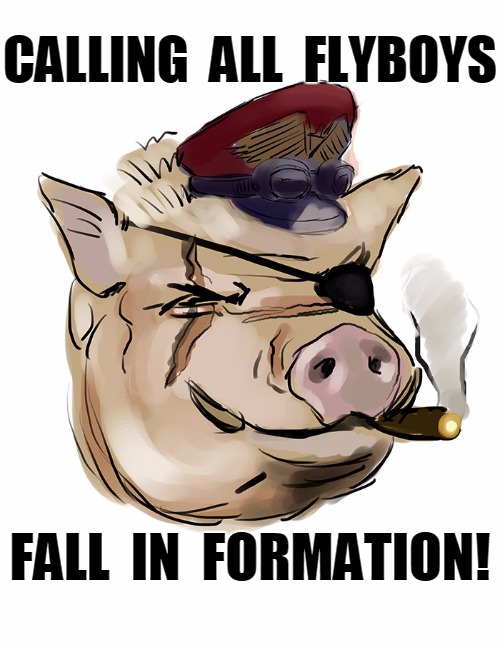 calling all pigs | CALLING  ALL  FLYBOYS FALL  IN  FORMATION! | image tagged in pig,funny | made w/ Imgflip meme maker