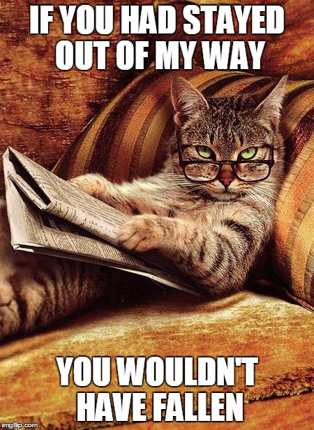 cat reading | IF YOU HAD STAYED OUT OF MY WAY YOU WOULDN'T HAVE FALLEN | image tagged in cat reading | made w/ Imgflip meme maker