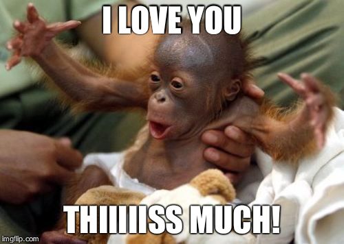 How much I love you. | I LOVE YOU THIIIIISS MUCH! | image tagged in orangutan | made w/ Imgflip meme maker