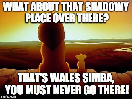 Lion King Meme | WHAT ABOUT THAT SHADOWY PLACE OVER THERE? THAT'S WALES SIMBA, YOU MUST NEVER GO THERE! | image tagged in memes,lion king | made w/ Imgflip meme maker