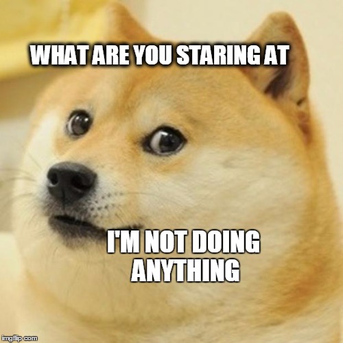 Doge Meme | WHAT ARE YOU STARING AT I'M NOT DOING ANYTHING | image tagged in memes,doge | made w/ Imgflip meme maker