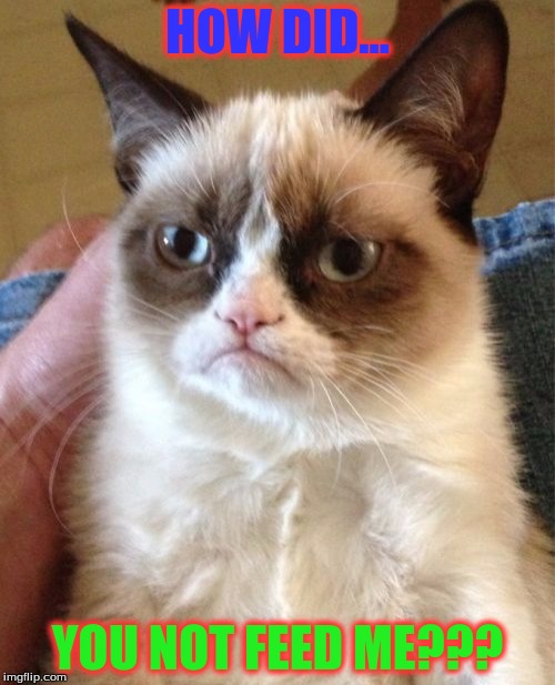 Grumpy Cat Meme | HOW DID... YOU NOT FEED ME??? | image tagged in memes,grumpy cat | made w/ Imgflip meme maker