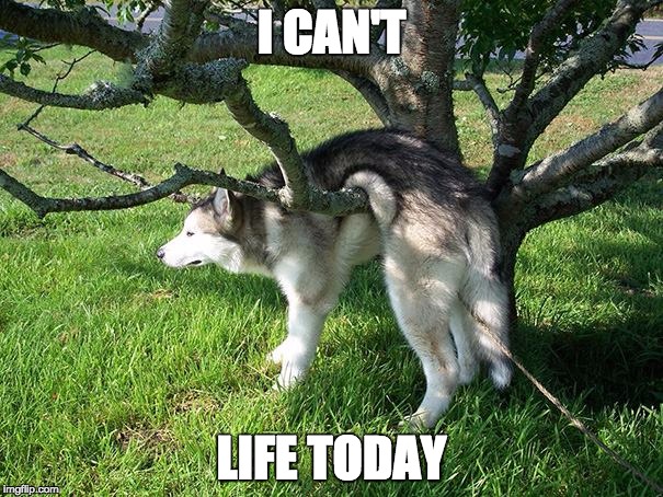 I can't life today | I CAN'T LIFE TODAY | image tagged in lifesucks | made w/ Imgflip meme maker