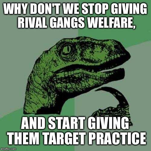 Philosoraptor Meme | WHY DON'T WE STOP GIVING RIVAL GANGS WELFARE, AND START GIVING THEM TARGET PRACTICE | image tagged in memes,philosoraptor | made w/ Imgflip meme maker
