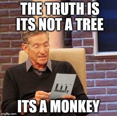 Maury Lie Detector | THE TRUTH IS ITS NOT A TREE ITS A MONKEY | image tagged in memes,maury lie detector | made w/ Imgflip meme maker