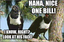 HAHA, NICE ONE BILL! I KNOW, RIGHT? LOOK AT HIS FACE! | made w/ Imgflip meme maker