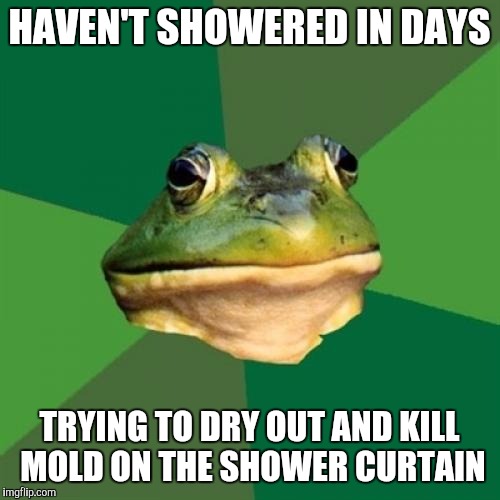 Foul Bachelor Frog Meme | HAVEN'T SHOWERED IN DAYS TRYING TO DRY OUT AND KILL MOLD ON THE SHOWER CURTAIN | image tagged in memes,foul bachelor frog | made w/ Imgflip meme maker