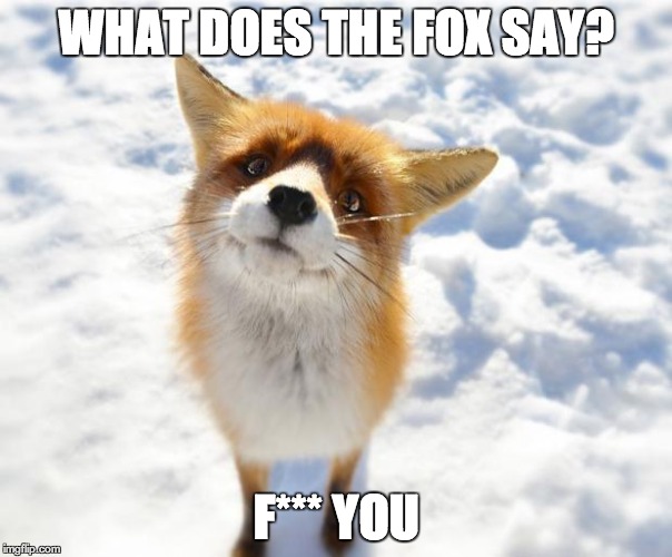 What Does The Fox Say? | WHAT DOES THE FOX SAY? F*** YOU | image tagged in what does the fox say | made w/ Imgflip meme maker