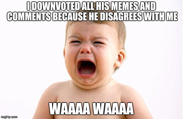 Crying baby | I DOWNVOTED ALL HIS MEMES AND COMMENTS BECAUSE HE DISAGREES WITH ME WAAAA WAAAA | image tagged in crybaby | made w/ Imgflip meme maker