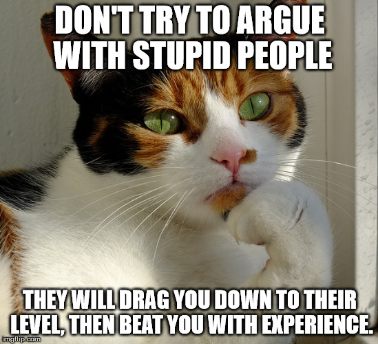 Philosocat | DON'T TRY TO ARGUE WITH STUPID PEOPLE THEY WILL DRAG YOU DOWN TO THEIR LEVEL, THEN BEAT YOU WITH EXPERIENCE. | image tagged in philosocat,stupid,stupid people,deep thought | made w/ Imgflip meme maker