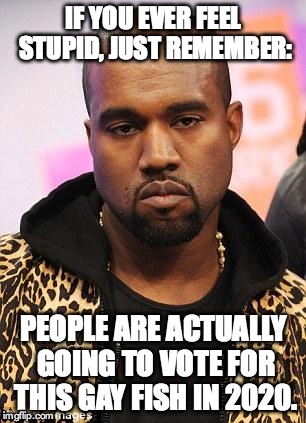 kanye west lol | IF YOU EVER FEEL STUPID, JUST REMEMBER: PEOPLE ARE ACTUALLY GOING TO VOTE FOR THIS GAY FISH IN 2020. | image tagged in kanye west lol | made w/ Imgflip meme maker