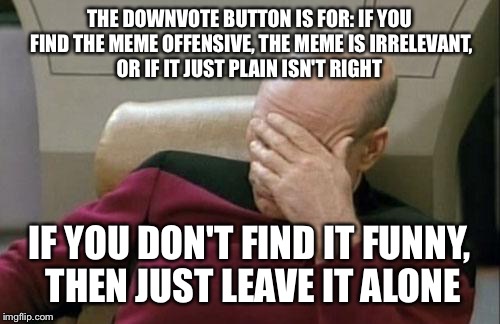 I just know I'm going to get downvoted to oblivion for this... | THE DOWNVOTE BUTTON IS FOR: IF YOU FIND THE MEME OFFENSIVE, THE MEME IS IRRELEVANT, OR IF IT JUST PLAIN ISN'T RIGHT IF YOU DON'T FIND IT FUN | image tagged in memes,captain picard facepalm,downvote | made w/ Imgflip meme maker