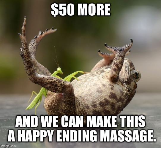 Praying Mantis Technique | $50 MORE AND WE CAN MAKE THIS A HAPPY ENDING MASSAGE. | image tagged in praying mantis technique | made w/ Imgflip meme maker