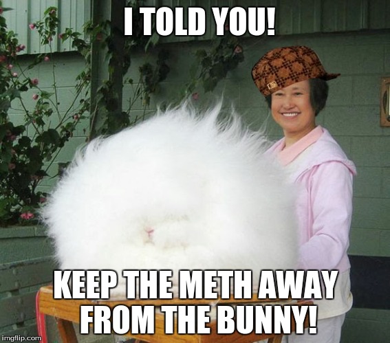 meth bunny | I TOLD YOU! KEEP THE METH AWAY FROM THE BUNNY! | image tagged in drugs,bunny,fluffy,meth,pothead | made w/ Imgflip meme maker