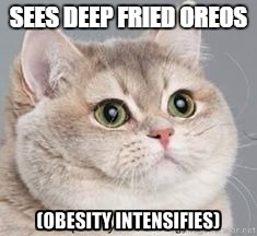 SEES DEEP FRIED OREOS | image tagged in funny cat | made w/ Imgflip meme maker