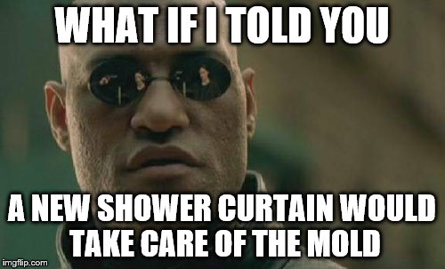 Matrix Morpheus Meme | WHAT IF I TOLD YOU A NEW SHOWER CURTAIN WOULD TAKE CARE OF THE MOLD | image tagged in memes,matrix morpheus | made w/ Imgflip meme maker