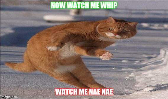 Nae Nae | NOW WATCH ME WHIP WATCH ME NAE NAE | image tagged in funny | made w/ Imgflip meme maker