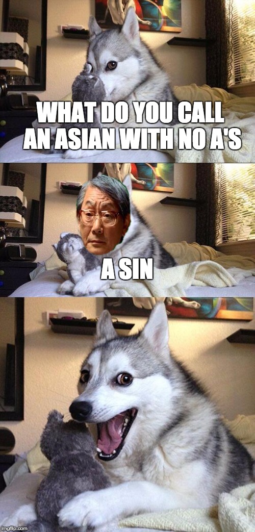 Bad Pun Dog Meme | WHAT DO YOU CALL AN ASIAN WITH NO A'S A SIN | image tagged in memes,bad pun dog | made w/ Imgflip meme maker