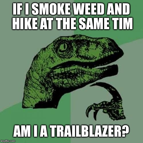 A follow-up to my first one | IF I SMOKE WEED AND HIKE AT THE SAME TIM AM I A TRAILBLAZER? | image tagged in memes,philosoraptor,nsfw | made w/ Imgflip meme maker