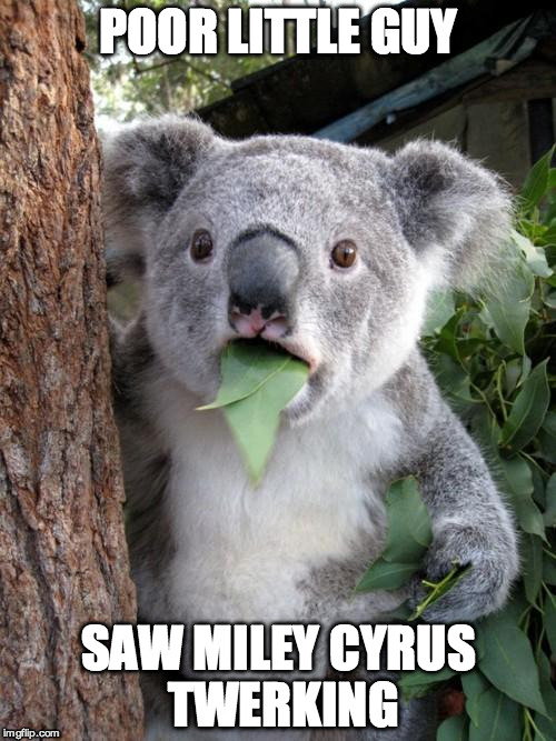Surprised Koala Meme | POOR LITTLE GUY SAW MILEY CYRUS TWERKING | image tagged in memes,surprised koala | made w/ Imgflip meme maker