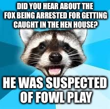 raccoon | DID YOU HEAR ABOUT THE FOX BEING ARRESTED FOR GETTING CAUGHT IN THE HEN HOUSE? HE WAS SUSPECTED OF FOWL PLAY | image tagged in raccoon | made w/ Imgflip meme maker