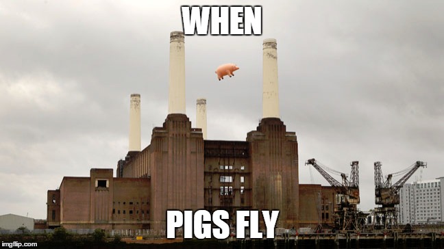 Pigs | WHEN PIGS FLY | image tagged in pigs fly | made w/ Imgflip meme maker