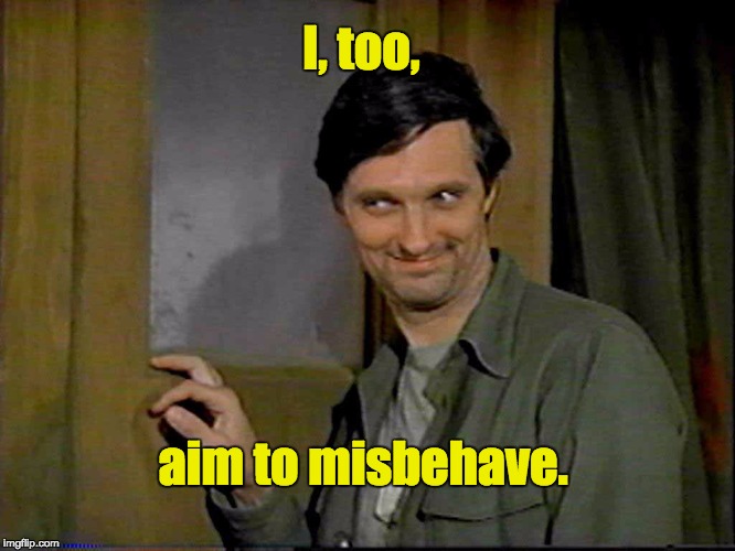 Hawkeye | I, too, aim to misbehave. | image tagged in hawkeye | made w/ Imgflip meme maker