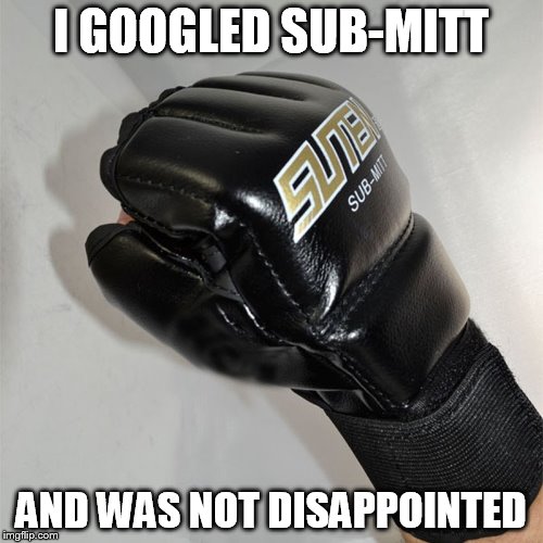 I GOOGLED SUB-MITT AND WAS NOT DISAPPOINTED | image tagged in submit | made w/ Imgflip meme maker