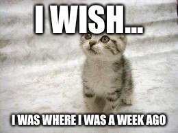 Sad Cat Meme | I WISH... I WAS WHERE I WAS A WEEK AGO | image tagged in memes,sad cat | made w/ Imgflip meme maker
