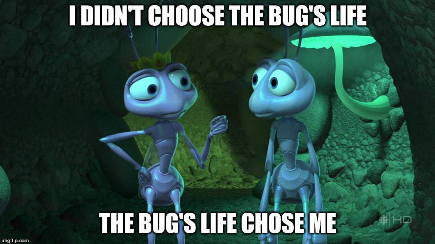 Thug life brah | I DIDN'T CHOOSE THE BUG'S LIFE THE BUG'S LIFE CHOSE ME | image tagged in disney,memes,thug life,a bug's life,the thug life chose me | made w/ Imgflip meme maker