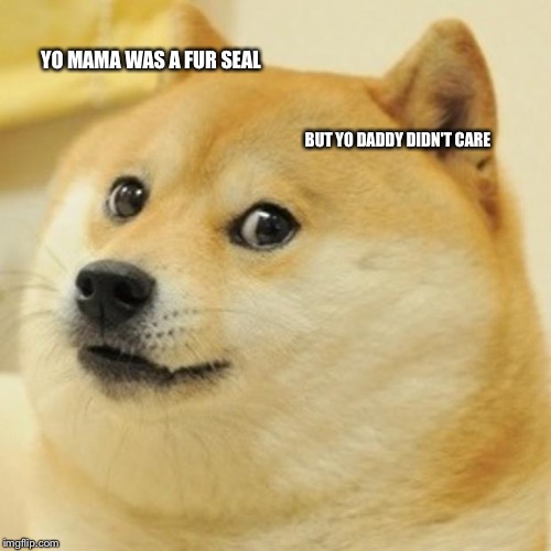 Doge Meme | YO MAMA WAS A FUR SEAL BUT YO DADDY DIDN'T CARE | image tagged in memes,doge | made w/ Imgflip meme maker