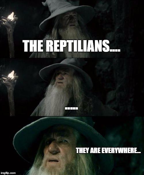 Confused Gandalf Meme | THE REPTILIANS.... ..... THEY ARE EVERYWHERE... | image tagged in memes,confused gandalf | made w/ Imgflip meme maker