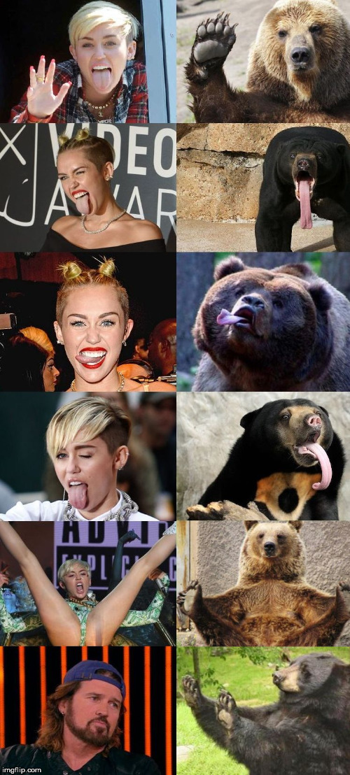 image tagged in miley bear | made w/ Imgflip meme maker