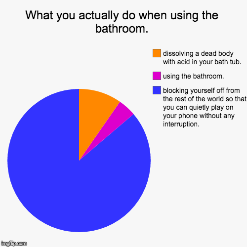 bathroom duties  | image tagged in funny,pie charts,memes | made w/ Imgflip chart maker