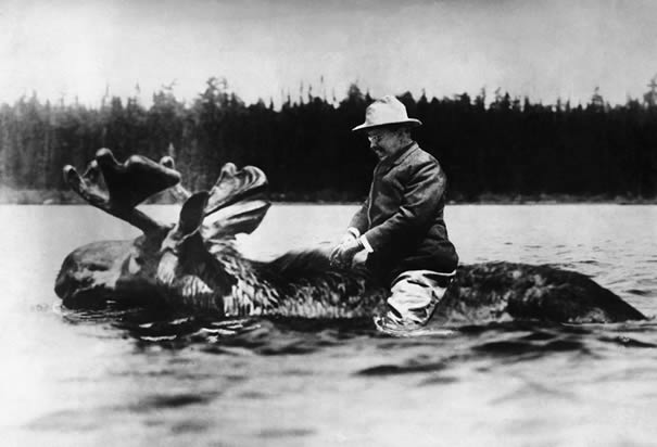 Teddy Roosevelt on a Moose Blank Meme Template