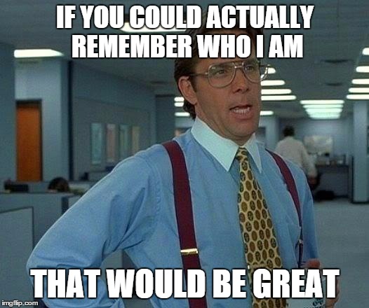 That Would Be Great Meme | IF YOU COULD ACTUALLY REMEMBER WHO I AM THAT WOULD BE GREAT | image tagged in memes,that would be great | made w/ Imgflip meme maker