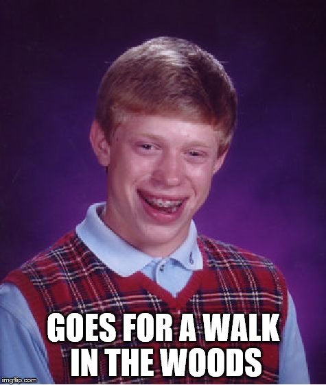 Bad Luck Brian Meme | GOES FOR A WALK IN THE WOODS | image tagged in memes,bad luck brian | made w/ Imgflip meme maker