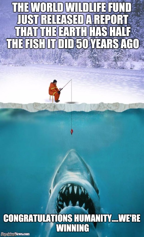 ice fishing | THE WORLD WILDLIFE FUND JUST RELEASED A REPORT THAT THE EARTH HAS HALF THE FISH IT DID 50 YEARS AGO CONGRATULATIONS HUMANITY....WE'RE WINNIN | image tagged in ice fishing | made w/ Imgflip meme maker