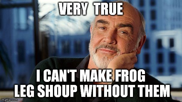 VERY  TRUE I CAN'T MAKE FROG LEG SHOUP WITHOUT THEM | image tagged in sean | made w/ Imgflip meme maker