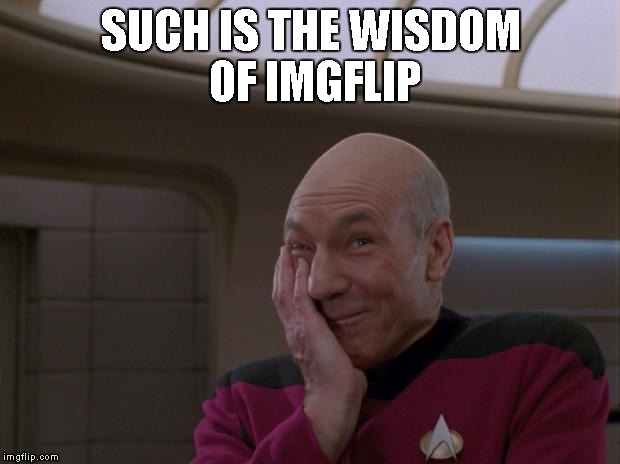 Picard | SUCH IS THE WISDOM OF IMGFLIP | image tagged in picard | made w/ Imgflip meme maker