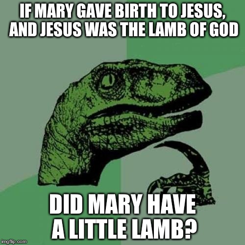 Philosoraptor Meme | IF MARY GAVE BIRTH TO JESUS, AND JESUS WAS THE LAMB OF GOD DID MARY HAVE A LITTLE LAMB? | image tagged in memes,philosoraptor | made w/ Imgflip meme maker