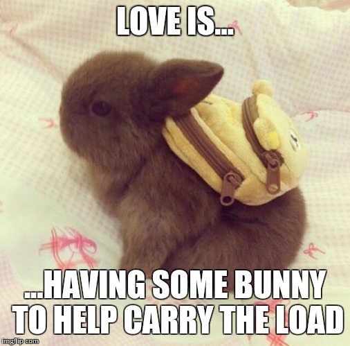 Backpack Bunny Love | LOVE IS... ...HAVING SOME BUNNY TO HELP CARRY THE LOAD | image tagged in cute,bunny,share,love,fluffy | made w/ Imgflip meme maker