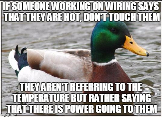Actual Advice Mallard Meme | IF SOMEONE WORKING ON WIRING SAYS THAT THEY ARE HOT, DON'T TOUCH THEM THEY AREN'T REFERRING TO THE TEMPERATURE BUT RATHER SAYING THAT THERE  | image tagged in memes,actual advice mallard,AdviceAnimals | made w/ Imgflip meme maker