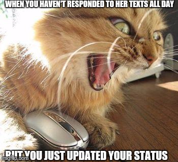 angry cat | WHEN YOU HAVEN'T RESPONDED TO HER TEXTS ALL DAY BUT YOU JUST UPDATED YOUR STATUS | image tagged in angry cat | made w/ Imgflip meme maker
