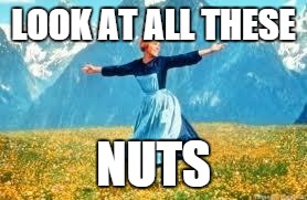 Ha! Got em! | LOOK AT ALL THESE NUTS | image tagged in memes,look at all these | made w/ Imgflip meme maker